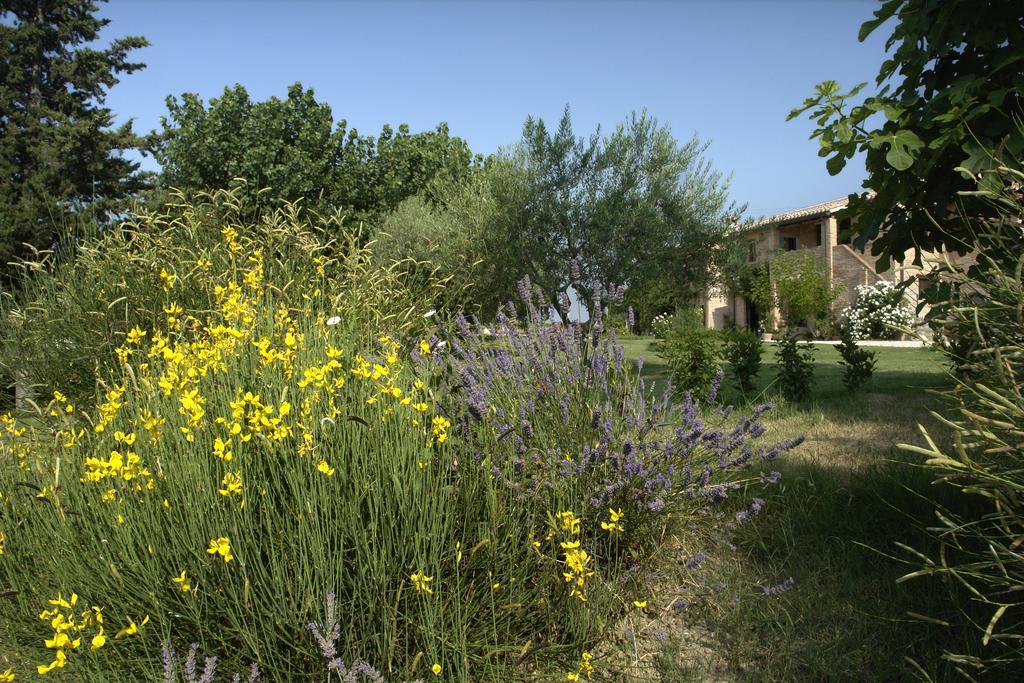 Casa Vacanze Di Charme Ripabianca Jesi Esterno foto